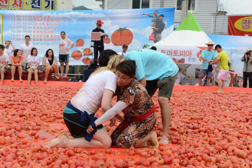 2013년 토마토축제 의 사진