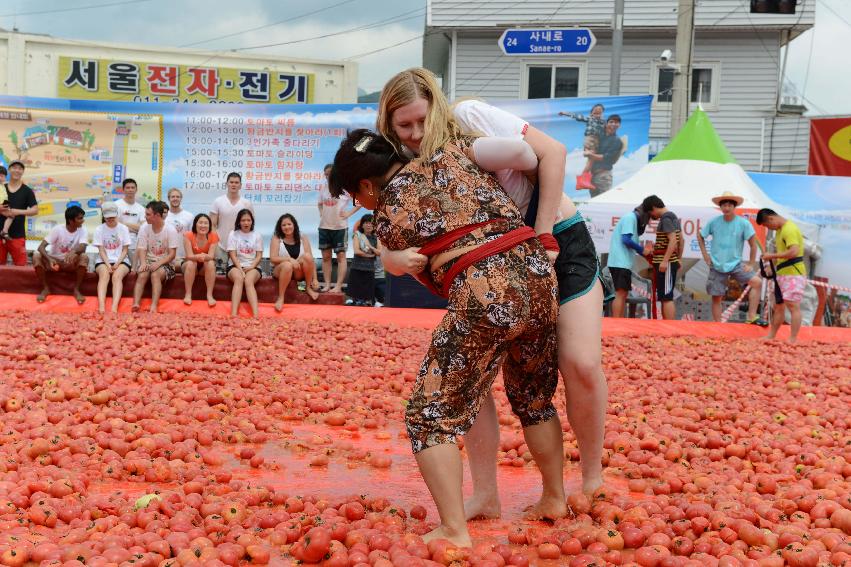 2013년 토마토축제 의 사진