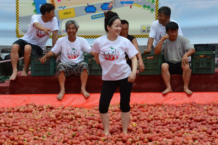 2013년 토마토축제 의 사진