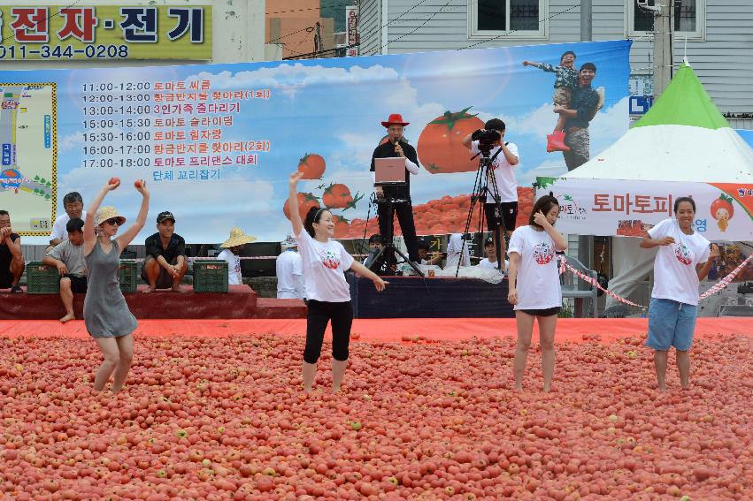 2013년 토마토축제 의 사진