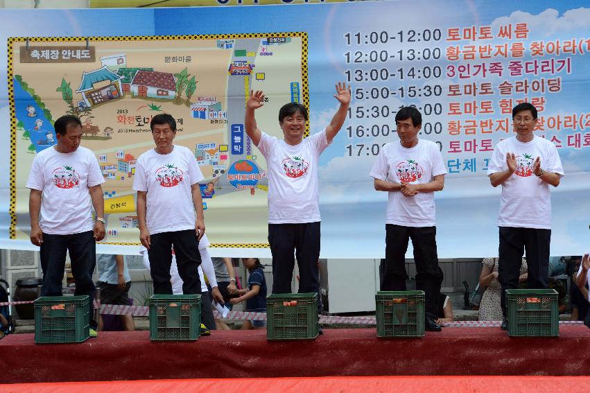 2013년 토마토축제 의 사진