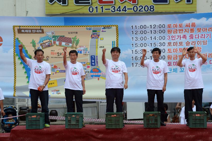 2013년 토마토축제 의 사진