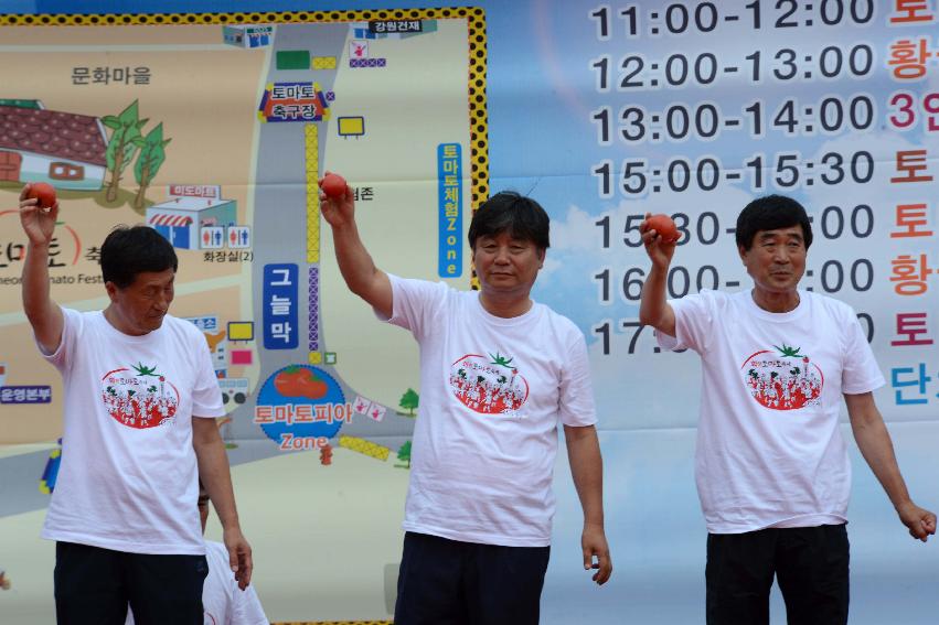 2013년 토마토축제 의 사진