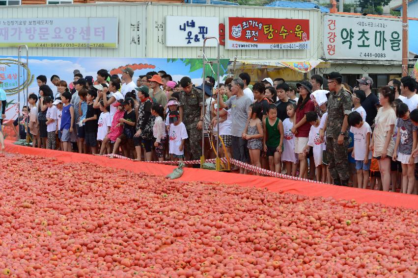 2013년 토마토축제 의 사진