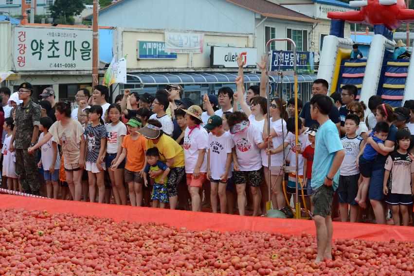 2013년 토마토축제 의 사진