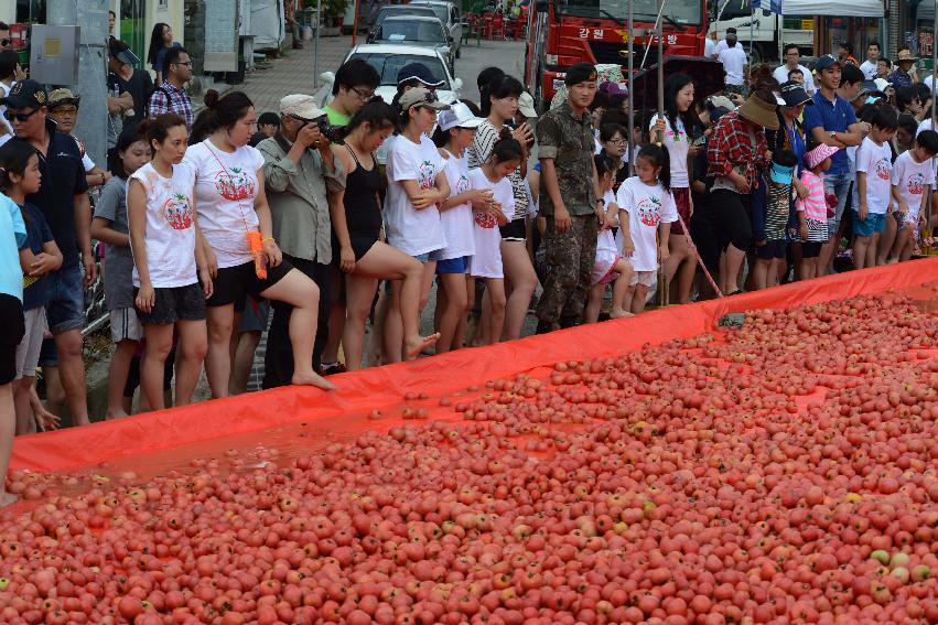 2013년 토마토축제 의 사진