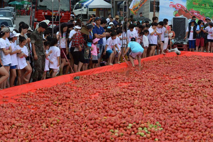 2013년 토마토축제 의 사진