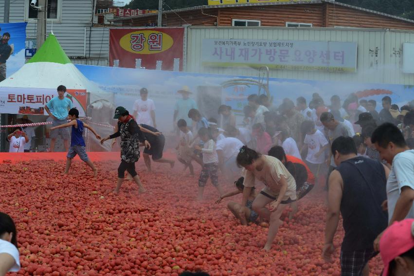 2013년 토마토축제 의 사진