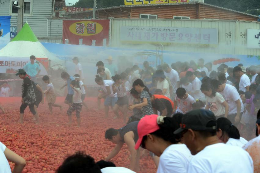 2013년 토마토축제 의 사진