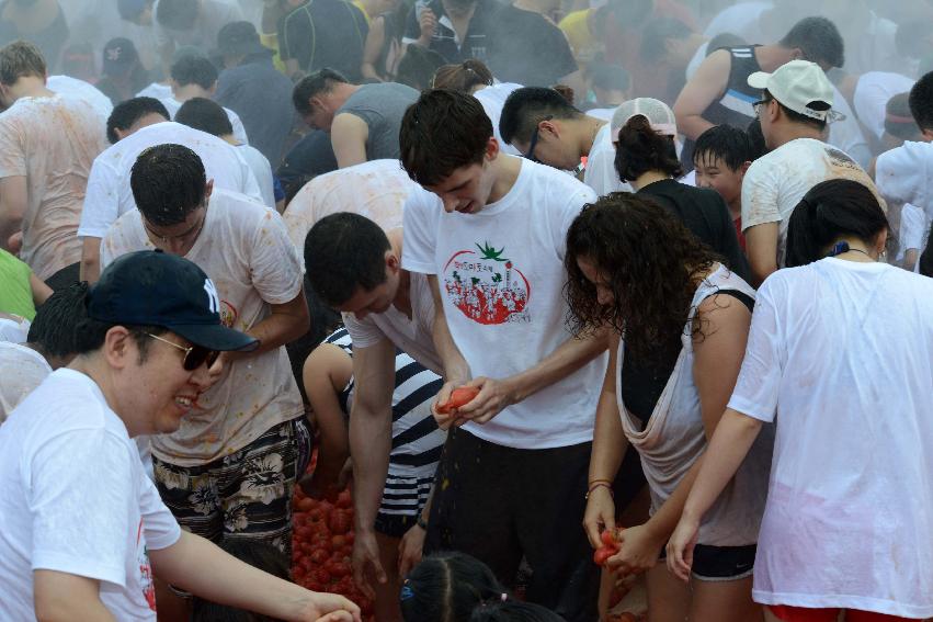 2013년 토마토축제 의 사진