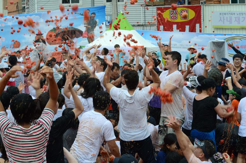 2013년 토마토축제 의 사진