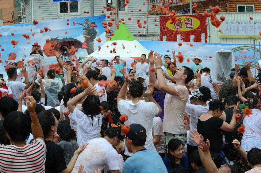 2013년 토마토축제 의 사진