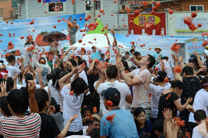 2013년 토마토축제 의 사진