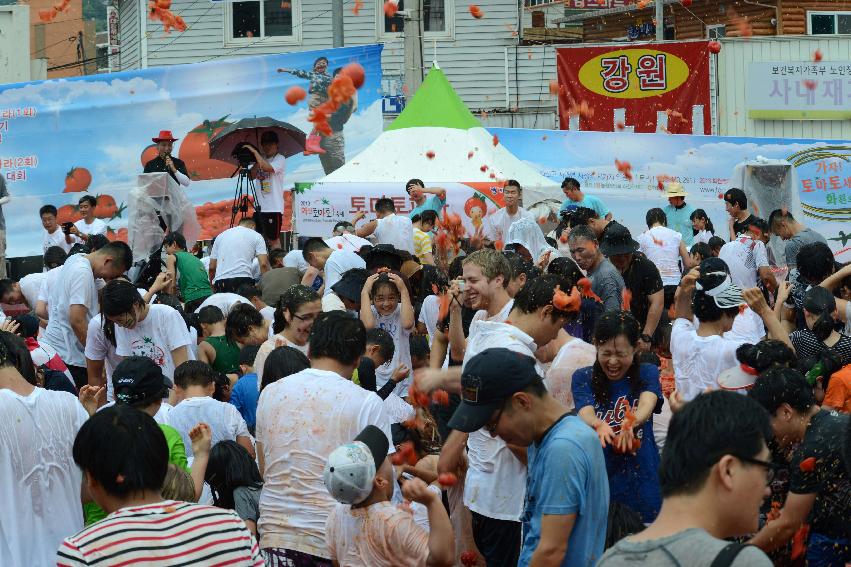 2013년 토마토축제 의 사진