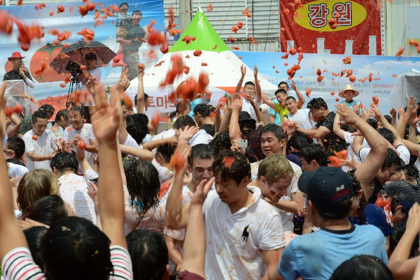 2013년 토마토축제 의 사진