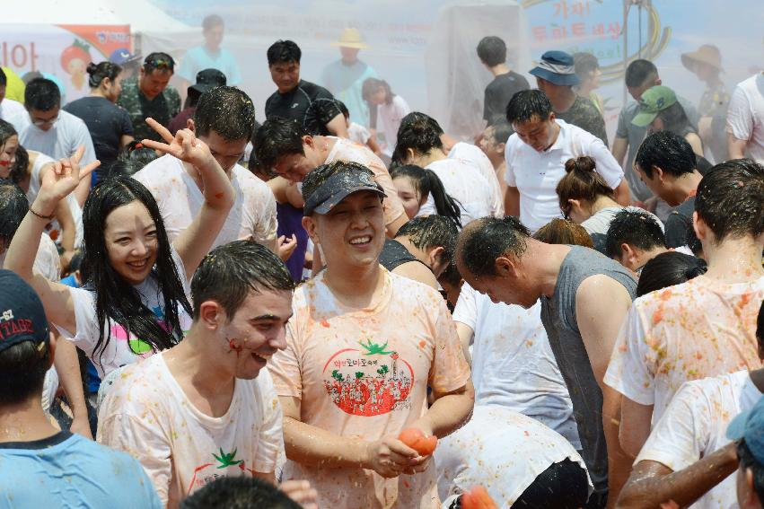 2013년 토마토축제 의 사진