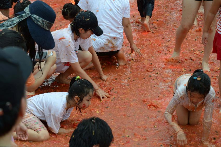 2013년 토마토축제 의 사진