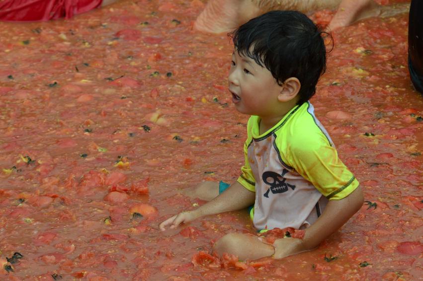 2013년 토마토축제 의 사진