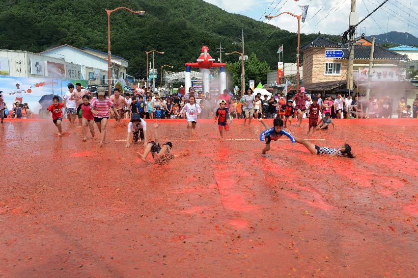 2013년 토마토축제 의 사진