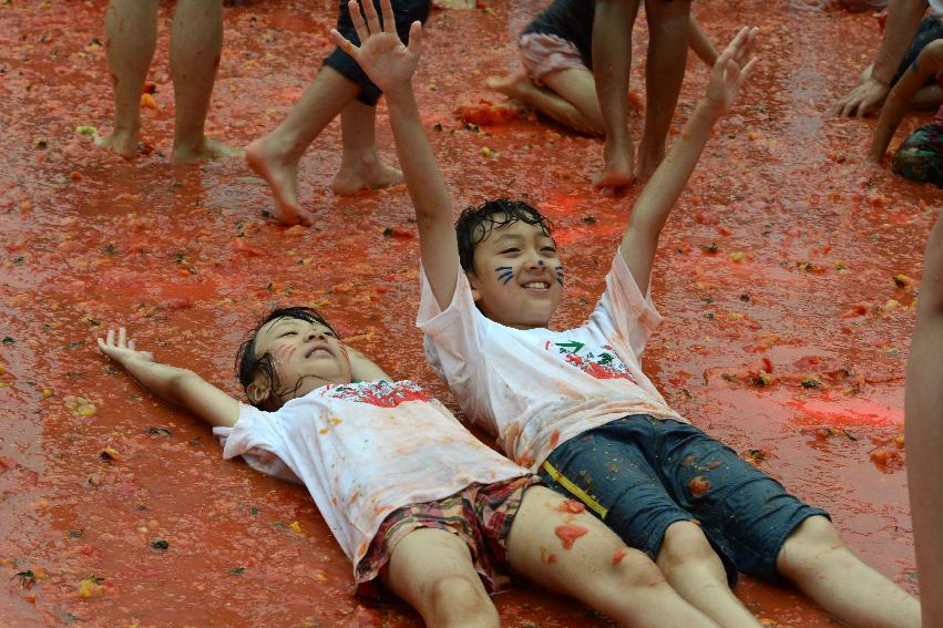 2013년 토마토축제 의 사진