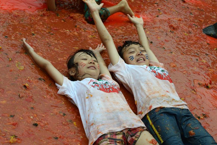 2013년 토마토축제 의 사진