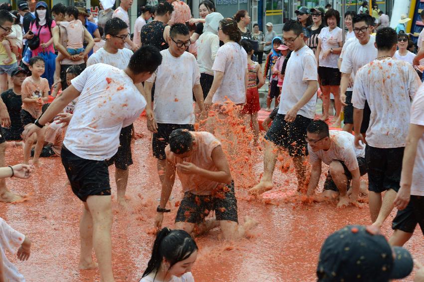 2013년 토마토축제 의 사진