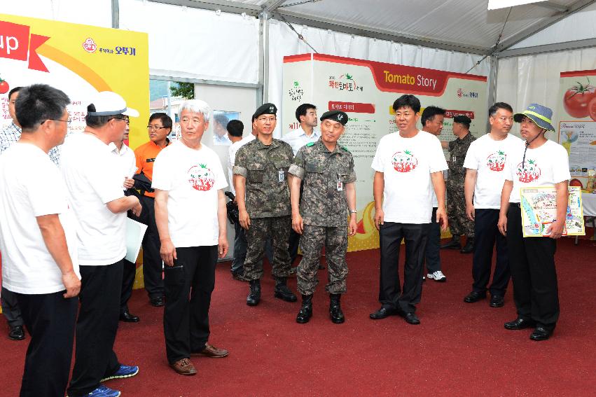 2013년 토마토축제 의 사진