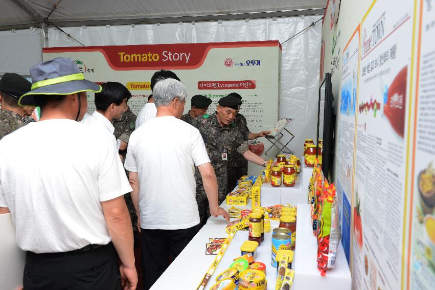 2013년 토마토축제 의 사진