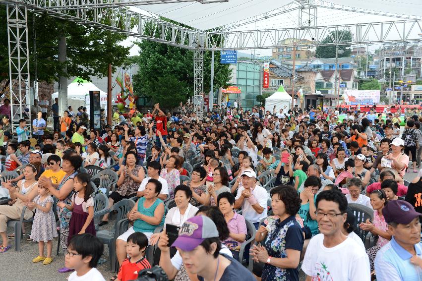 2013년 토마토축제 의 사진