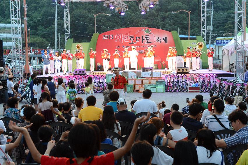 2013년 토마토축제 의 사진