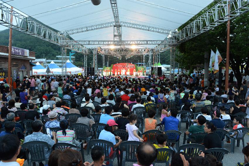 2013년 토마토축제 의 사진