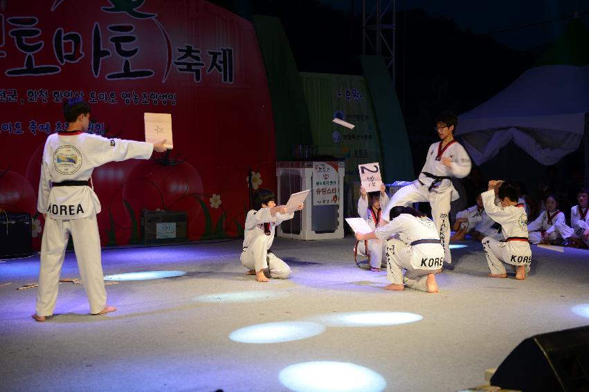 2013년 토마토축제 의 사진