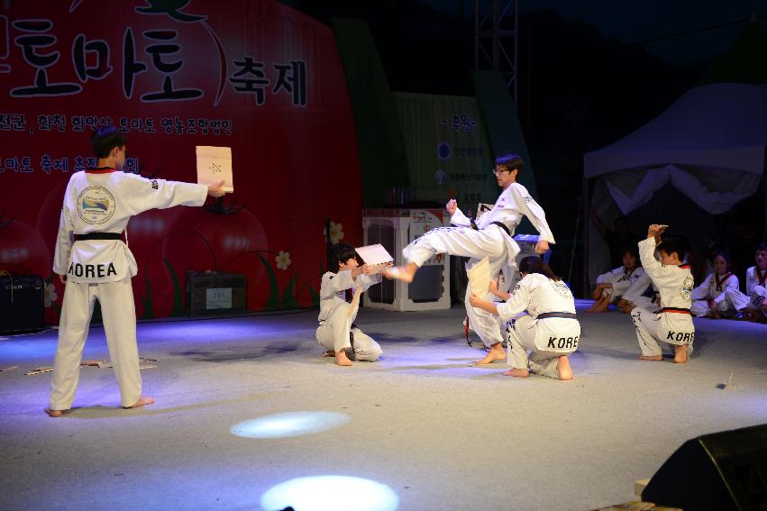 2013년 토마토축제 의 사진