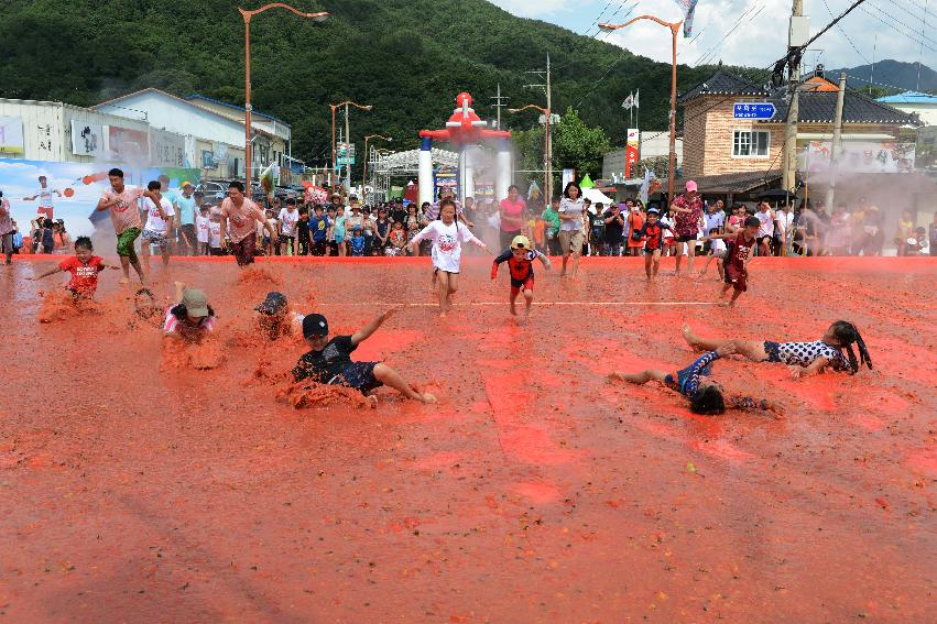 2013년 토마토축제 의 사진