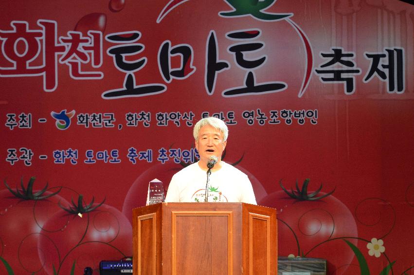 2013년 토마토축제 의 사진