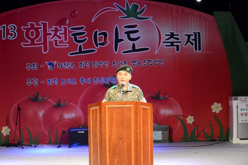 2013년 토마토축제 의 사진