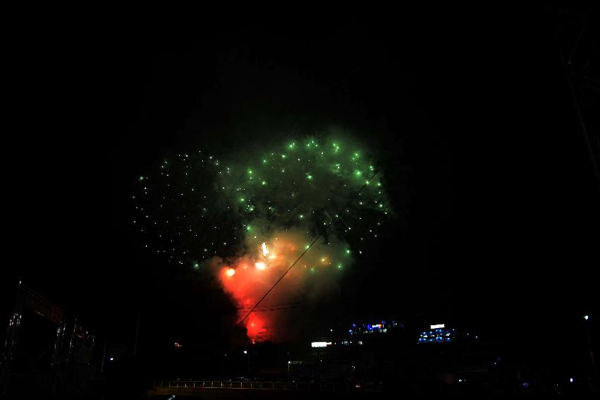 2013년 토마토축제 의 사진