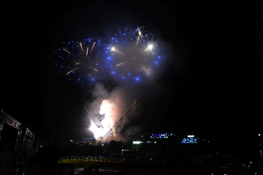 2013년 토마토축제 의 사진