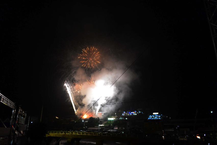 2013년 토마토축제 의 사진