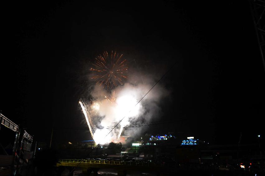 2013년 토마토축제 의 사진