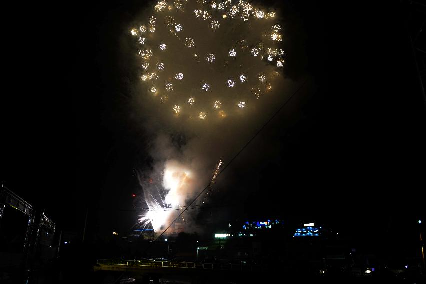 2013년 토마토축제 의 사진