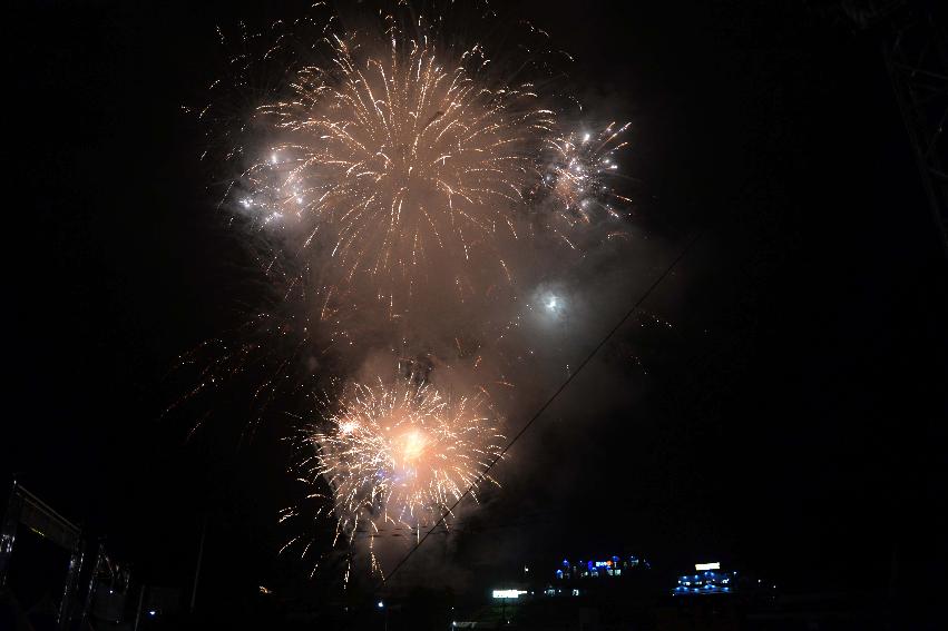 2013년 토마토축제 의 사진