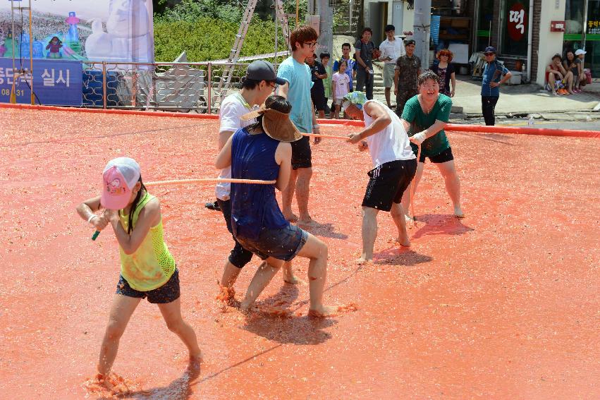 2013년 토마토축제 의 사진