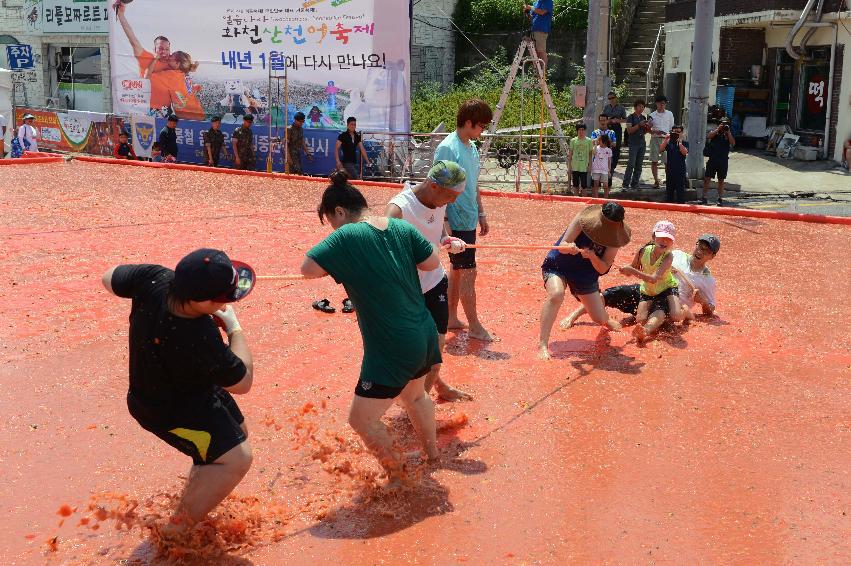 2013년 토마토축제 의 사진