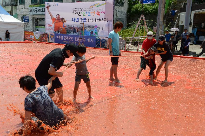 2013년 토마토축제 의 사진