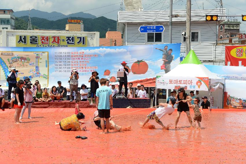 2013년 토마토축제 의 사진