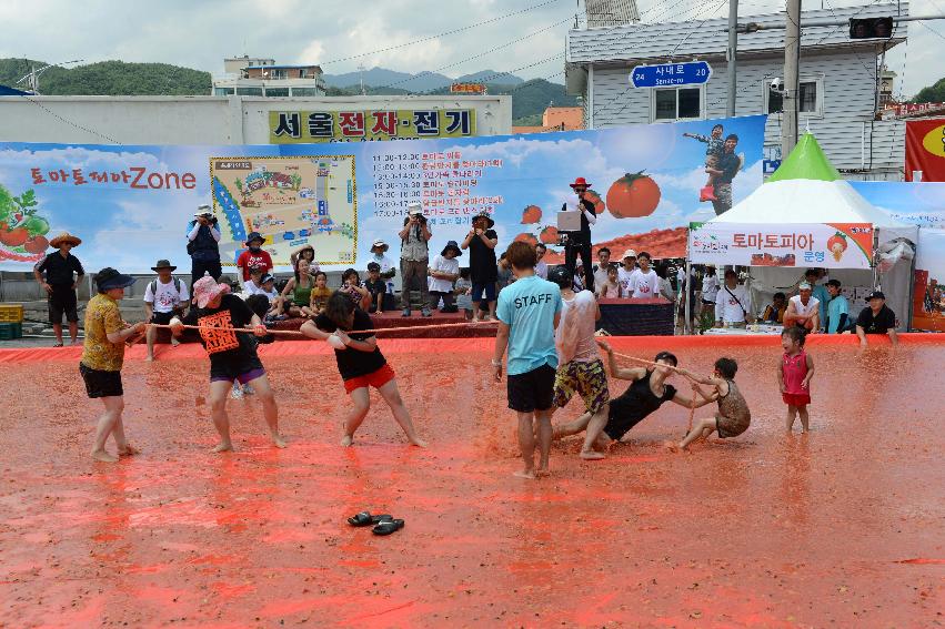 2013년 토마토축제 의 사진