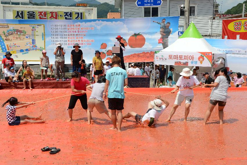 2013년 토마토축제 의 사진