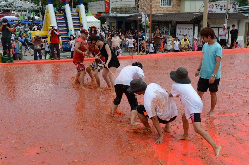 2013년 토마토축제 의 사진