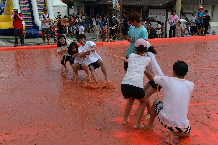 2013년 토마토축제 의 사진